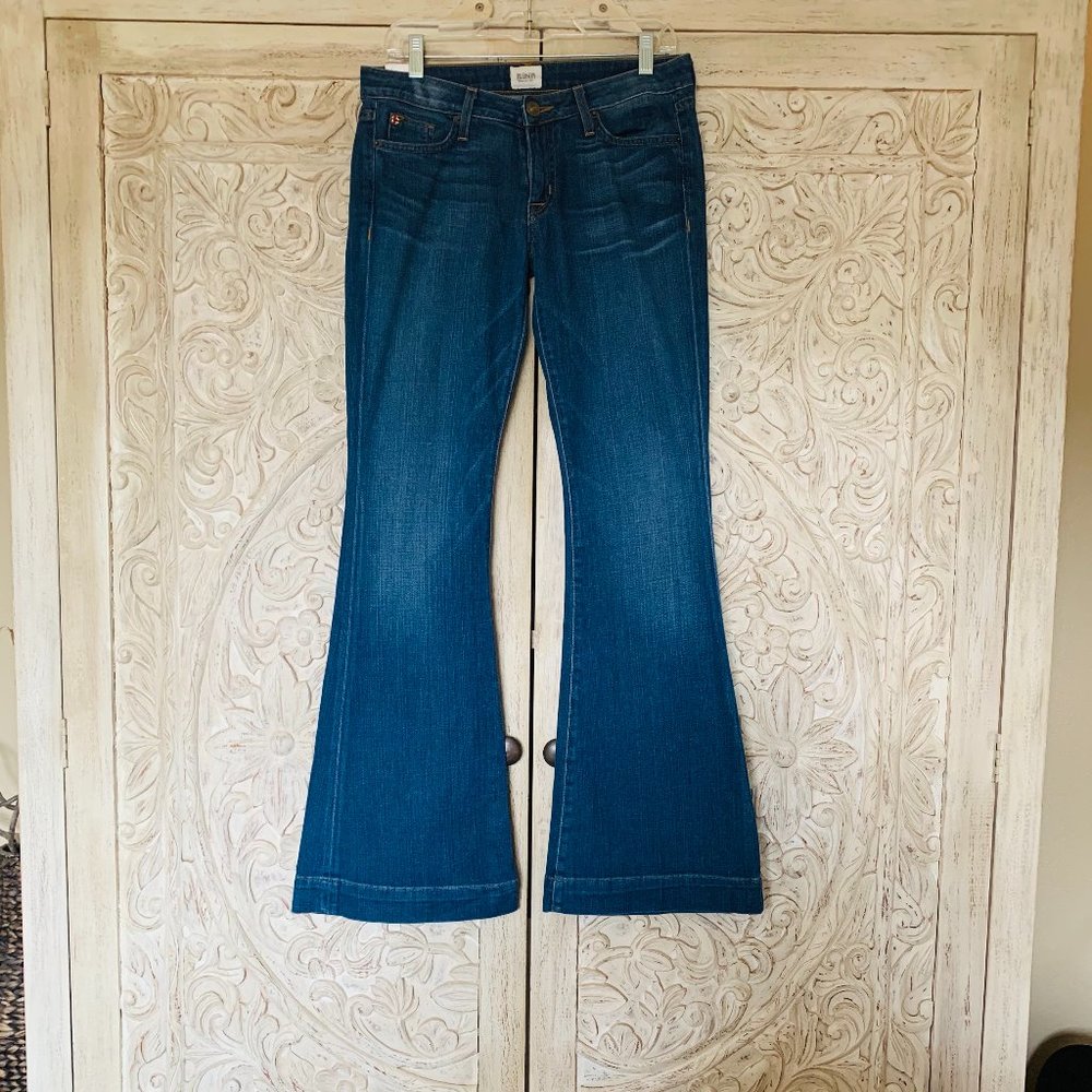 Hudson Ferris Flare Jeans 28